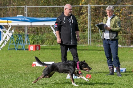 k-RO Kundel 12-10-2024 31