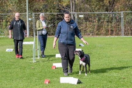 k-RO Kundel 12-10-2024 34