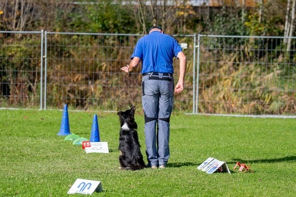 k-RO Kundel 12-10-2024 39