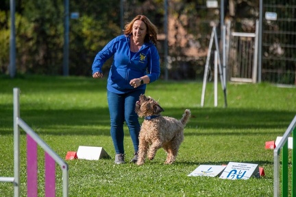 k-RO Kundel 12-10-2024 44