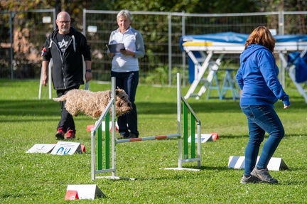 k-RO Kundel 12-10-2024 45