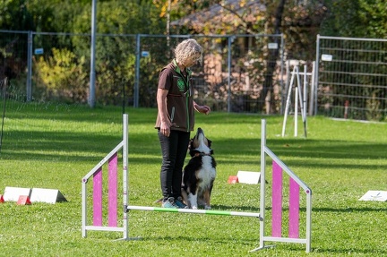 k-RO Kundel 12-10-2024 49