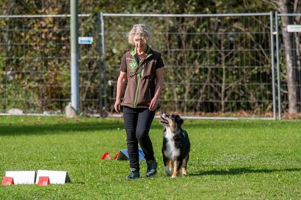 k-RO Kundel 12-10-2024 50