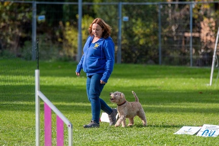 k-RO Kundel 12-10-2024 54