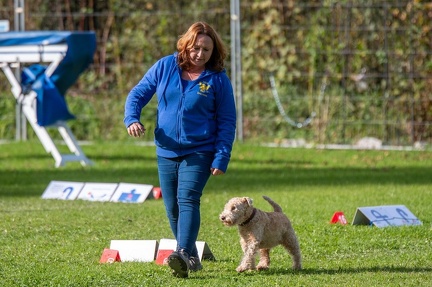 k-RO Kundel 12-10-2024 57