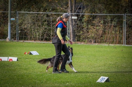 k-RO Kundel 12-10-2024 63