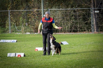 k-RO Kundel 12-10-2024 65