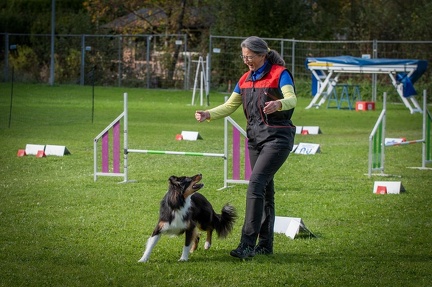 k-RO Kundel 12-10-2024 67