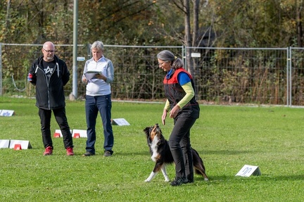 k-RO Kundel 12-10-2024 66