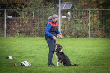 k-RO Kundel 13-10-2024 024