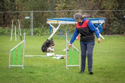 k-RO Kundel 13-10-2024 025