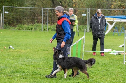 k-RO Kundel 13-10-2024 026