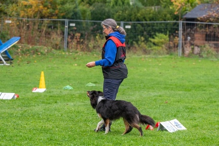 k-RO Kundel 13-10-2024 028