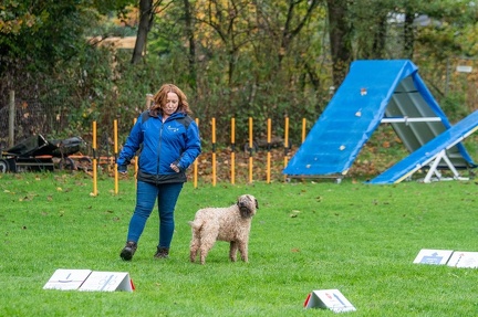 k-RO Kundel 13-10-2024 030