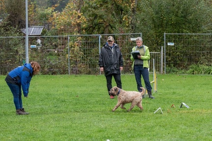 k-RO Kundel 13-10-2024 032