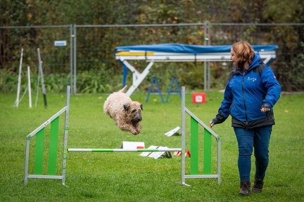 k-RO Kundel 13-10-2024 034