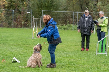 k-RO Kundel 13-10-2024 035