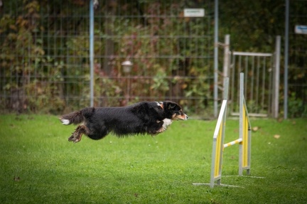 k-RO Kundel 13-10-2024 036