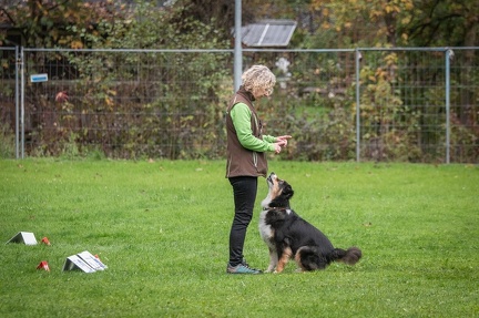 k-RO Kundel 13-10-2024 037