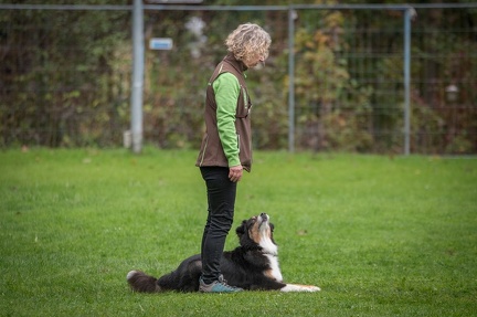 k-RO Kundel 13-10-2024 038