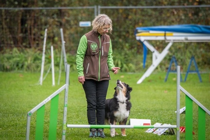 k-RO Kundel 13-10-2024 039