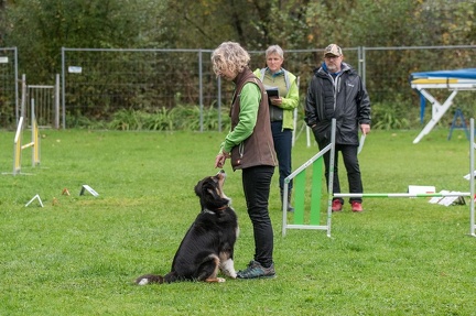 k-RO Kundel 13-10-2024 041