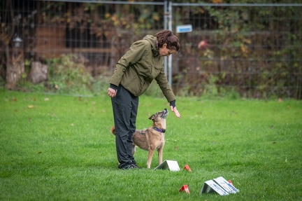 k-RO Kundel 13-10-2024 042