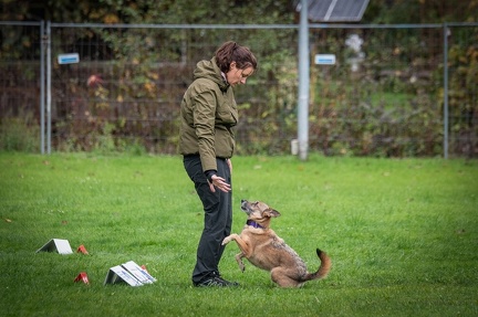 k-RO Kundel 13-10-2024 043