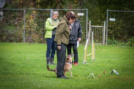 k-RO Kundel 13-10-2024 044