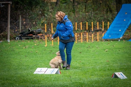 k-RO Kundel 13-10-2024 046