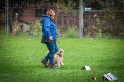 k-RO Kundel 13-10-2024 048