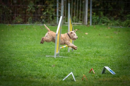 k-RO Kundel 13-10-2024 049