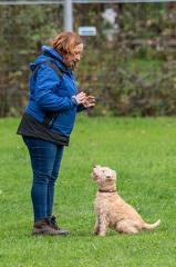 k-RO Kundel 13-10-2024 051