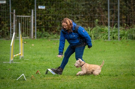 k-RO Kundel 13-10-2024 050