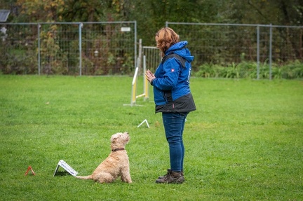 k-RO Kundel 13-10-2024 053