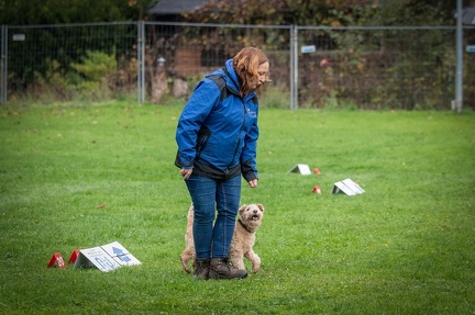 k-RO Kundel 13-10-2024 054