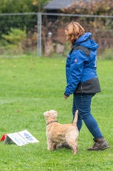 k-RO Kundel 13-10-2024 055