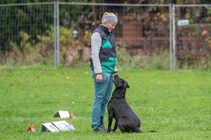 k-RO Kundel 13-10-2024 059