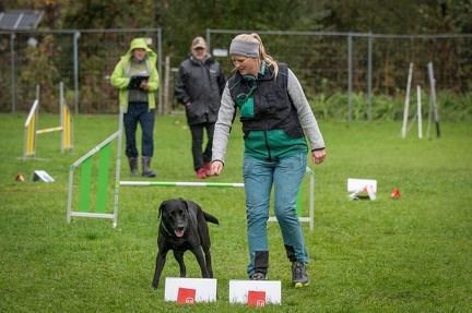 k-RO Kundel 13-10-2024 060