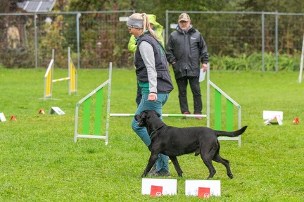 k-RO Kundel 13-10-2024 061