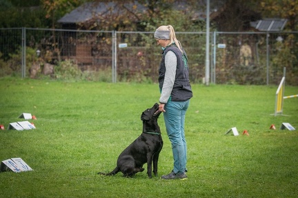 k-RO Kundel 13-10-2024 062