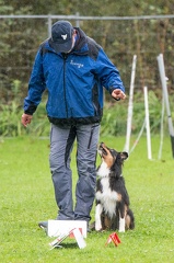 k-RO Kundel 13-10-2024 065