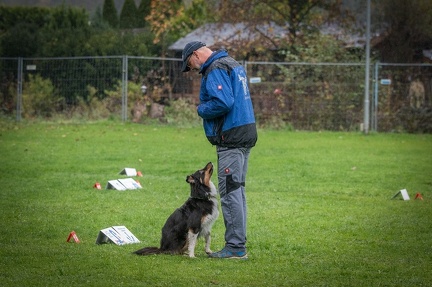 k-RO Kundel 13-10-2024 068