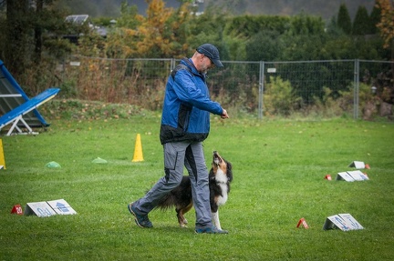 k-RO Kundel 13-10-2024 069