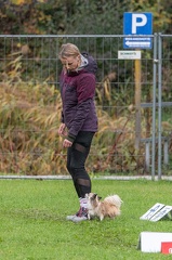 k-RO Kundel 13-10-2024 071