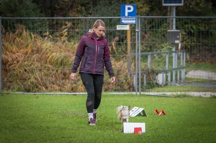 k-RO Kundel 13-10-2024 072