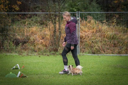 k-RO Kundel 13-10-2024 073