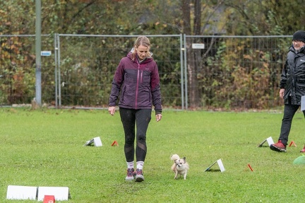 k-RO Kundel 13-10-2024 074