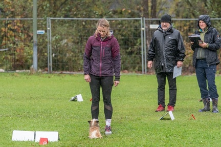 k-RO Kundel 13-10-2024 075