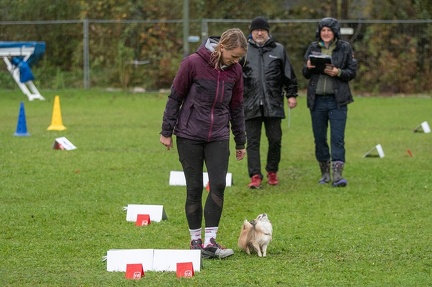 k-RO Kundel 13-10-2024 077